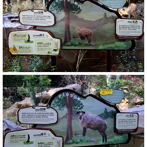 Takin Signage, From Different Angles