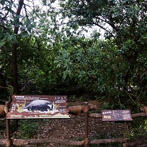 "Badger’s Secret Garden"