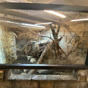 Reticulated python exhibit