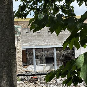 Toledo Zoo - Reptile House Renovation - Saltwater Crocodile exhibit
