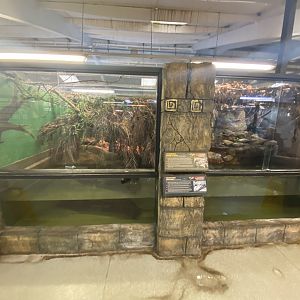 View of fresh water crocodile and Schneider’s dwarf caiman enclosures