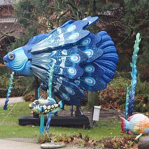 Magic Ocean Chinese lights festival - Betta, 2025-11-30