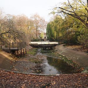 Empty pelican pond and construction work on the pygmy hippopotamus pool and expansion of the land area, 2025-11-30