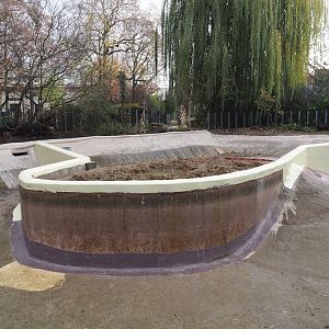 Construction work on the pygmy hippopotamus pool and expansion of the land area, 2025-11-30