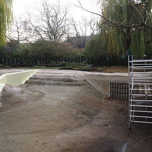 Construction work on the pygmy hippopotamus pool and expansion of the land area, 2025-11-30