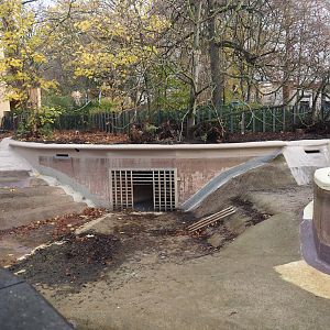 Renovations on the pygmy hippopotamus pool, 2025-11-30