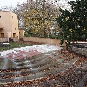Renovations on the pygmy hippopotamus pool, 2025-11-30