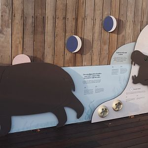 New pygmy hippopotamus signage, 2025-11-30