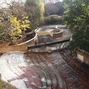 Renovations on the pygmy hippopotamus pool and expansion of the land area, 2025-11-30
