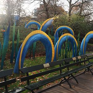 Magic Ocean Chinese lights festival - Ribbon eel structures, 2025-11-30