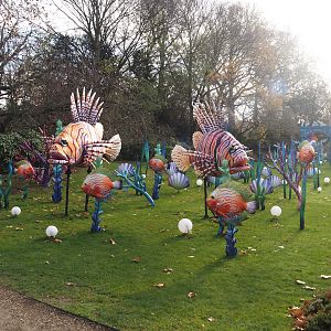 Magic Ocean Chinese lights festival - Lionfish and Discus fish, 2025-11-30