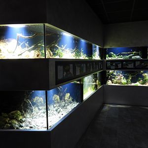 Freshwater area - Part 1