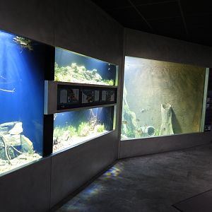 Freshwater area - Part 2