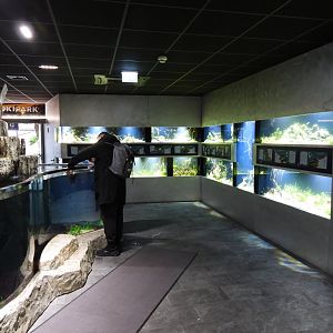 Freshwater area overall overview