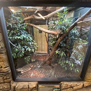 Green tree monitor exhibit