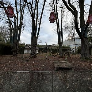 Asiatic black bear exhibit