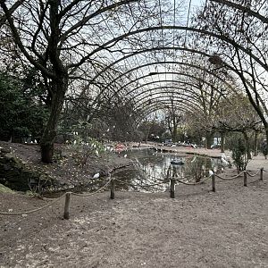 Cathedral (giant aviary)
