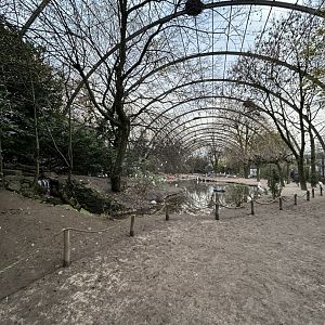 Cathedral (giant) aviary