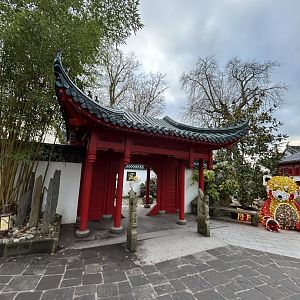 Chinese garden