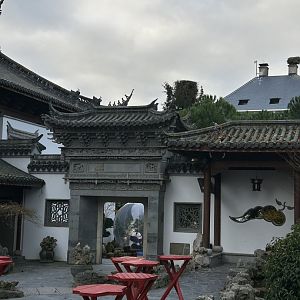 Chinese garden