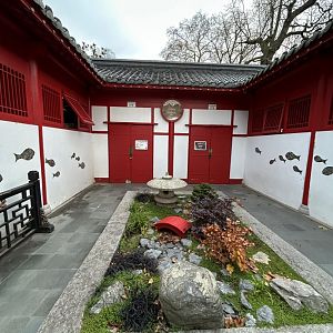 Chinese garden