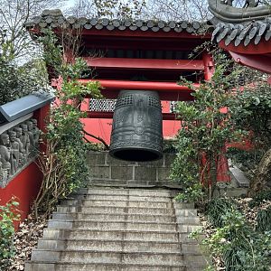 Gong in the Chinese garden