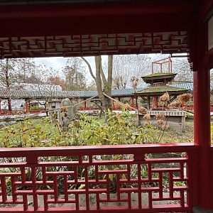 Chinese garden
