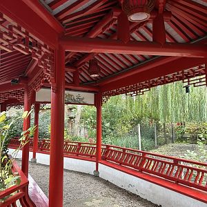 Chinese garden