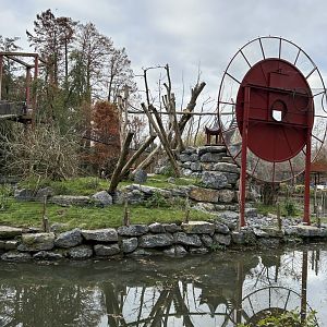 Golden snub-nosed monkey exhibit