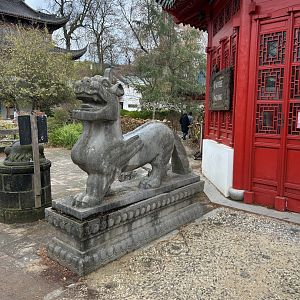 Chinese tiger statue