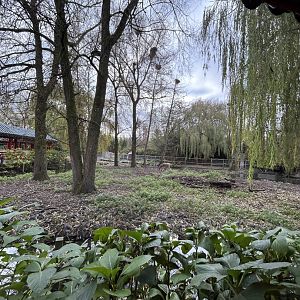 Pere David’s deer exhibit