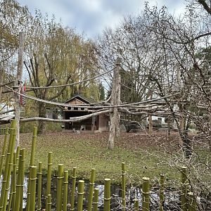 Blue sheep and binturong exhibit