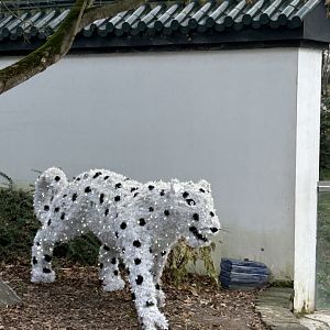 Snow leopard Christmas animal