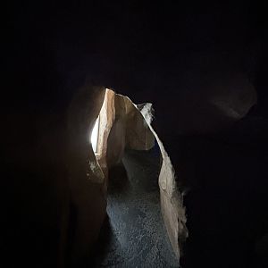 Cave in the Aquarium