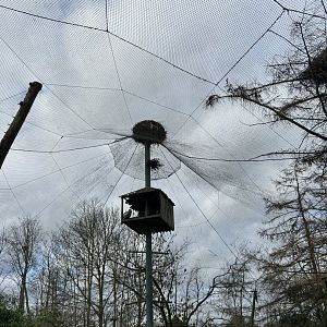 St. Bernard’s aviary