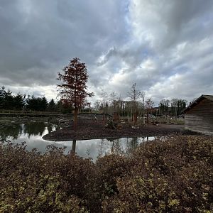 Eurasian elk exhibit left side