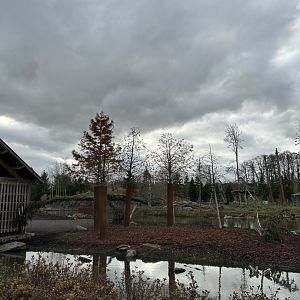 Eurasian elk exhibit right side