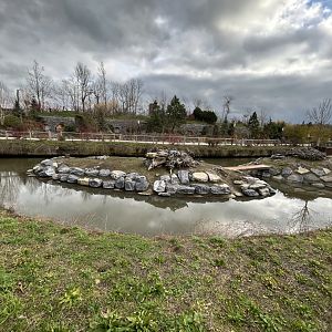 Beaver exhibit