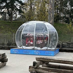 Christmas sphere with mechanic animals