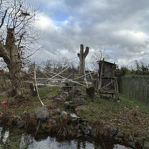 Orangutan island of the craftsman’s house