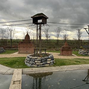 Asian elephant savannah with feeding temples