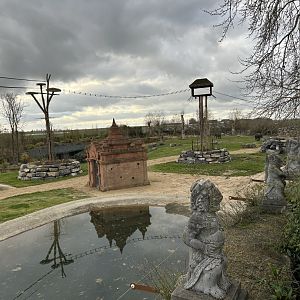 Asian elephant’s feeding temple and swimming pool on the savannah