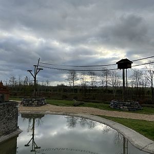 Asian elephant savannah