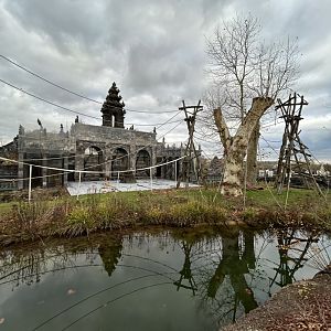 Orangutan island at the flower temple