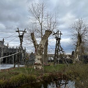 Orangutan island at the flower temple