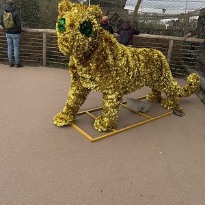 Black panther Christmas animal