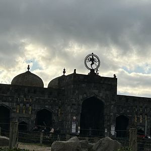 Asian elephant stall