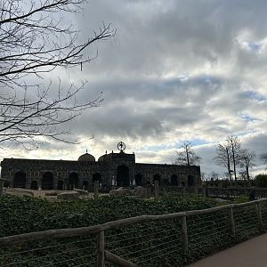 Asian elephant stall