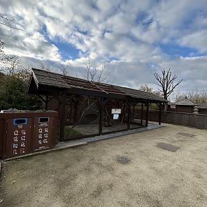 Siberian flying squirrel exhibit