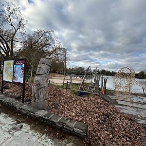 Greater white pelicans seen from the Islands of the Rising Sun